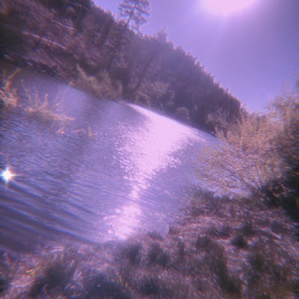 Meet your Posher, Jay